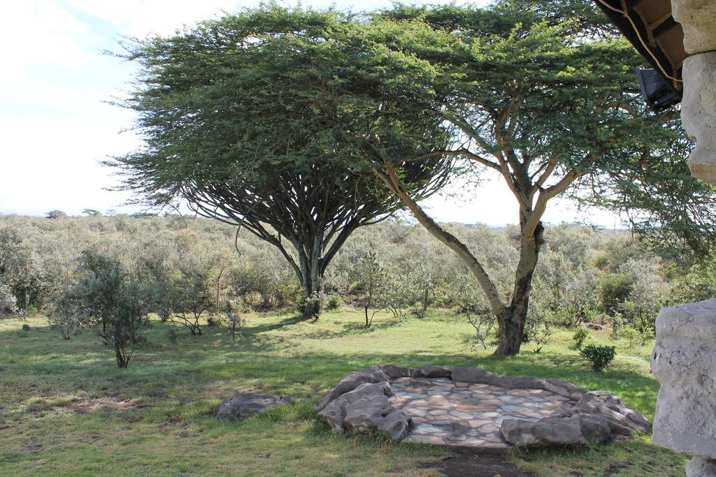 Shwari Cottages Naivasha Ngoại thất bức ảnh